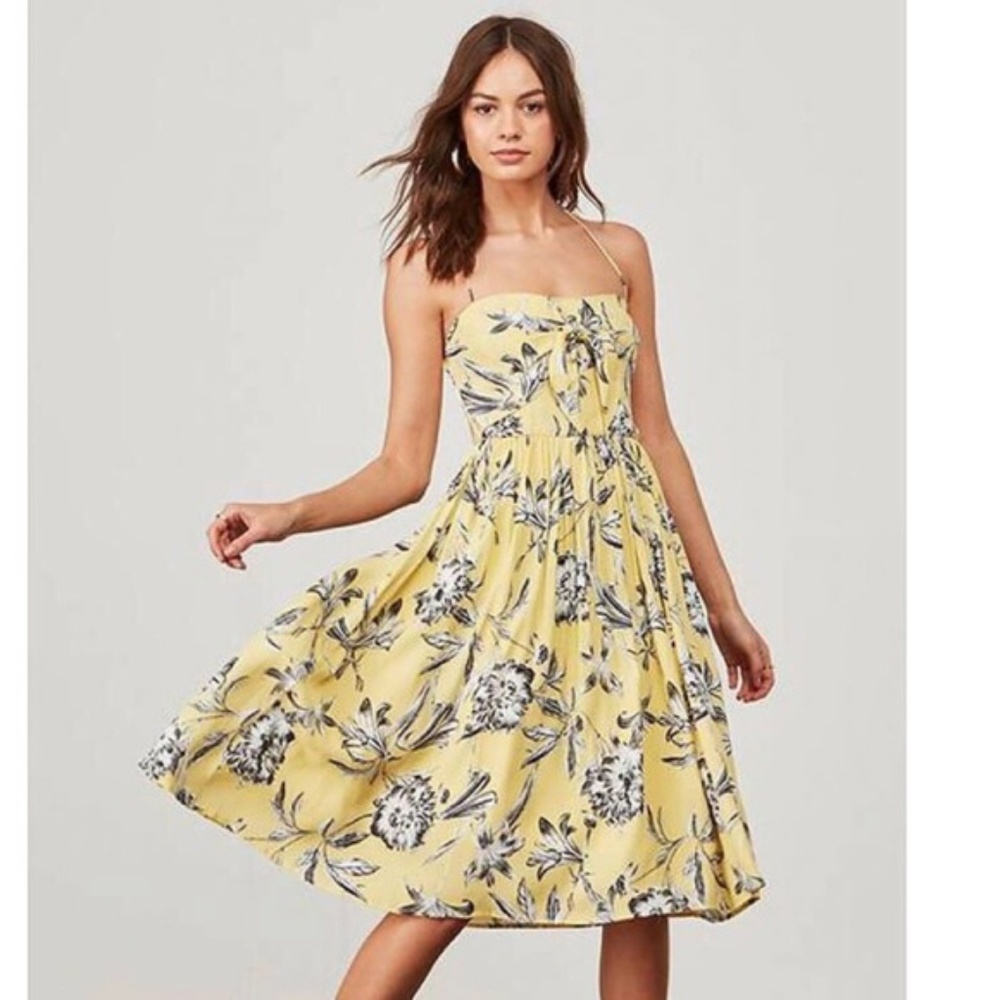 NWOT BB Dakota Lily Swing Sweetheart Dress  sz6